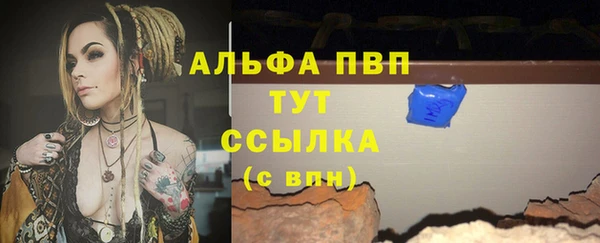 винт Богданович