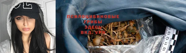 винт Богданович
